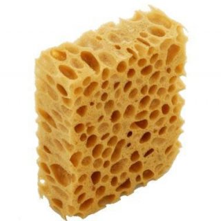 Auftragsschwamm