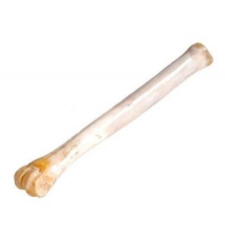Deer polishing Bone Polierknochen